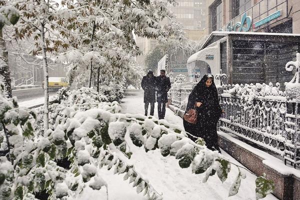 پیام های زمستان بی برف پیام های زمستان بی برف