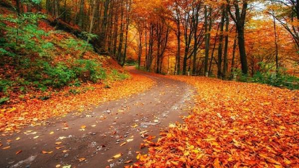 نمایی از طبیعت پاییزی در سرتاسر کشور