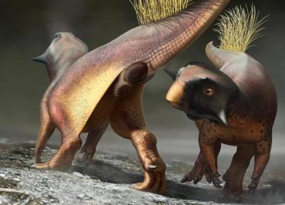 عکس ، زنده کردن یک دایناسور در تکنیکالر!