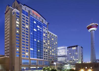گزینه های بیشتر برای مسافران با استفاده از Google Hotels