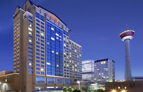 گزینه های بیشتر برای مسافران با استفاده از Google Hotels